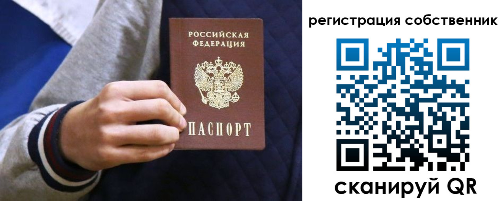 прописка поиск в Берёзовском